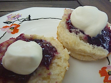 Buttermilk scones  with jam and cream on plate